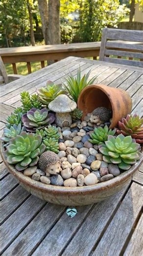 A Succulent Garden That Tells a Story