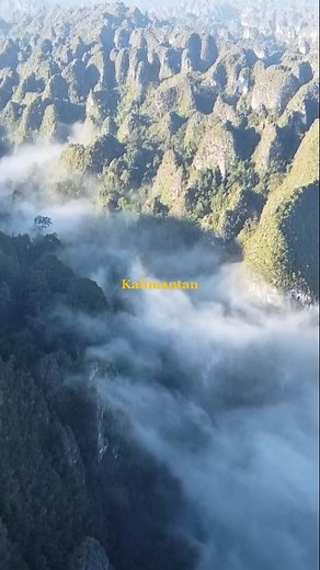 7K views · 11 reactions | Hutan Kalimantan sebagai salah satu hutan hujan tertua di Kalimantan. Kalian sudah ke mana saja ? Dan coba tebak ini dimana ? Comen di bawah ya #canindonesia #hutankalimantan #orangután #karst | Conservation Action Network | Facebook