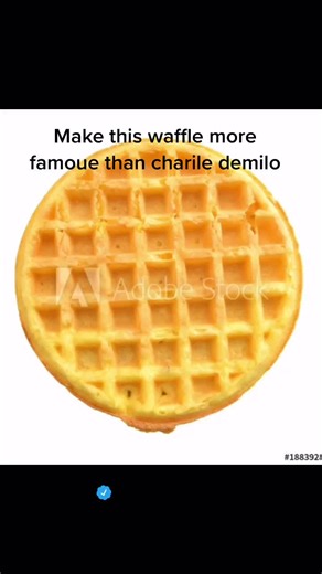 Waffles on TikTok