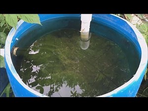 2018 duck pond filter system
