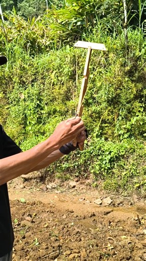 beyond expectations! wooden slingshot strength test #amazing
