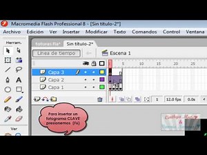 Como crear un reproductor de musica en Flash - Tutorial de Flash 8