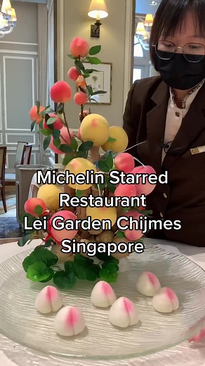 Lei Garden Chijmes Singapore: A Michelin Experience Reviewed