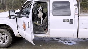 The clock might be ticking, and we’re facing a huge challenge: what do we do with all the cars? Classic restorations we haven’t done, parts everywhere, and a whole lot of memories are packed into this space. If our future is uncertain, we’re faced with the big question: how do we move forward—both figuratively and literally? Check out more on our YouTube: Rust Bros (Official) https://www.youtube.com/@RustBrosRestos/videos #rustbros #rustvalleyrestorers #mikehall #wildmangarage #clasiccars #carre