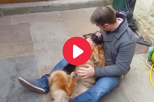 German Shepherd Cries Joy in Reunion With His Owner