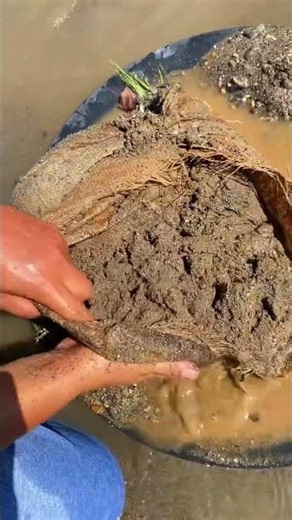 Traditional Gold Mining! 💰 Amazing Gold Discovery in Sacks Along the River Bank ⛏️🌊 #gold