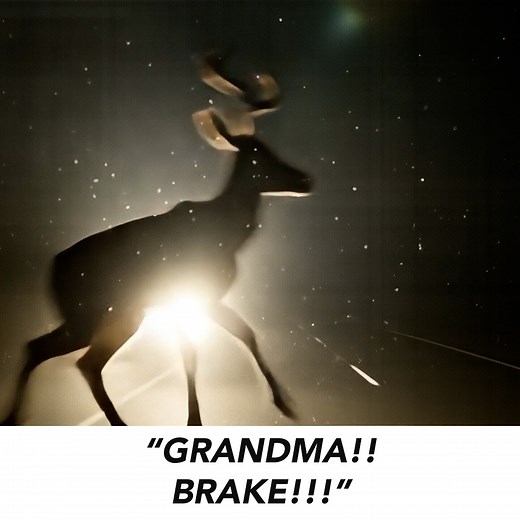 Black Friday $50 SALE "Best yet, LED's no problem. I tried so many...