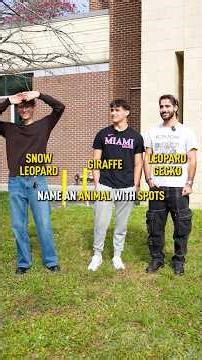 Don’t Say My Answer