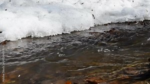 Early spring landscape of the snow in the forest. Streams flow in the spring in spring.