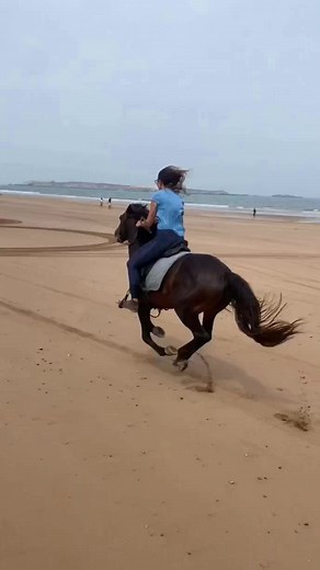 Girls galloping with stallions #horse #horses #horsesofinstagram #equestrian #horseriding #equine #pony #pferd #equestrianlife #horselove #dressage | Oussama_horserider