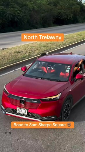 Dennis Meadows on Reels