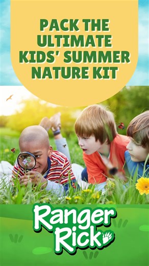 Ranger Rick Magazines on Instagram: "✨ Ready, set, explore! ✨ See what every 4 to 6-year-old needs for a summer of nature discoveries anywhere you go. ⁣ ⁣ What do you always pack in your Nature Go Bag? Share your must-haves below!  ⁣ ⁣"