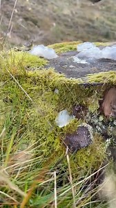 97K views · 2K reactions | Just ensuring the alien x human relationship is as strong as ever 﫡 What the heck is this then? I shall stand guard until we have the answer am i likely to be probed or should i potentially get in there first with the probe? 樂﫠 #jamslaag | Jamslaag | Facebook