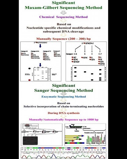 Significant of Maxam-Gilbert and Sanger Sequencing Methods #geneticteacher