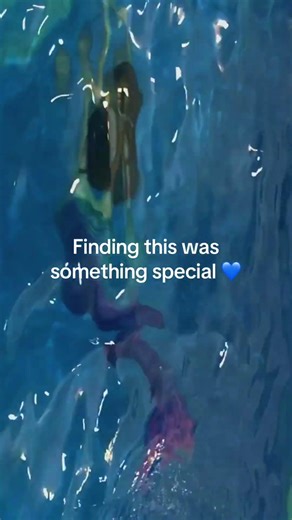 Finding a Mermaid