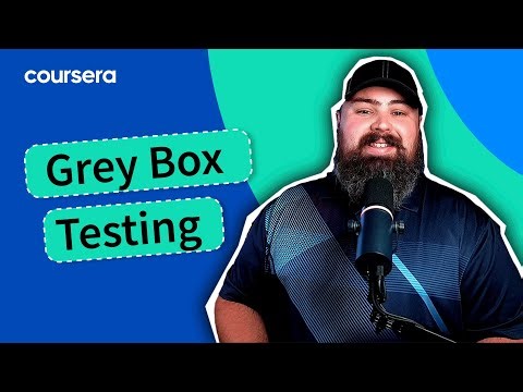 Grey Box Testing in QA: The Best of Both Worlds