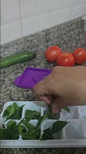 “No More Wasted Herbs! Try This Coriander Freezing Hack 😍”