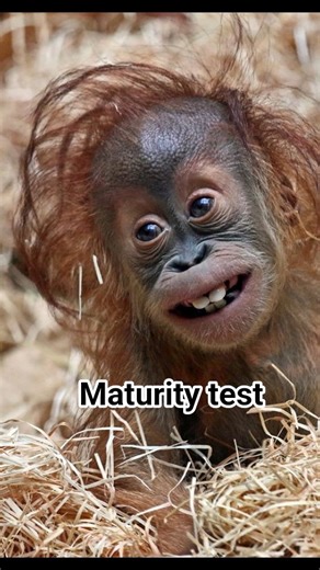 maturity test you smile you lose 😂 challenges