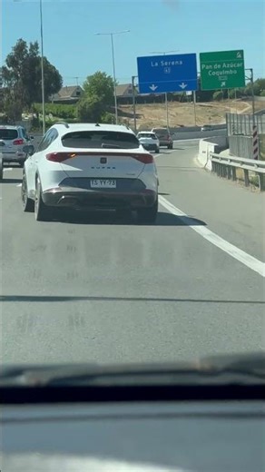 Pig Weaves Through Busy Highway Traffic