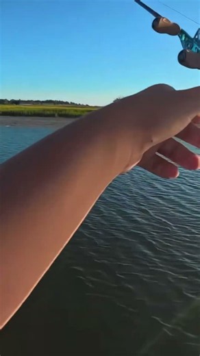 This is one of my FAVORITE tactics for summer inshore! And It SLAYS FISH! Please like and subscribe!