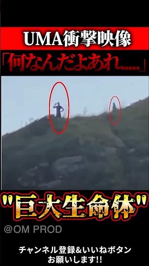 【UMA映像】ブラジルで撮影された巨大地球外生命体と言われる映像【UFO | 2025年 | 地球外生命体】