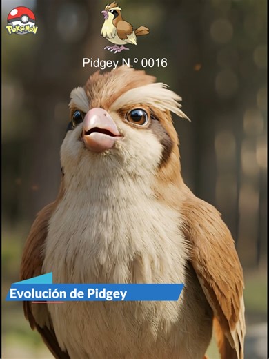 Evolución de Pidgey a Pidgeot en la Vida Real