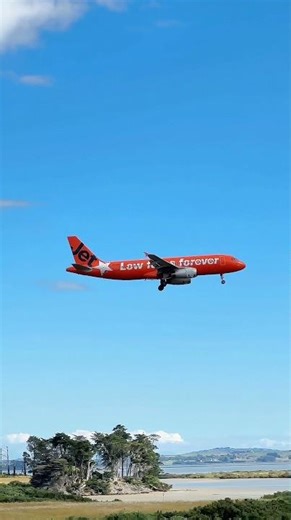 Airbus 320 landing perfectly #airplane #aviation #planespotting