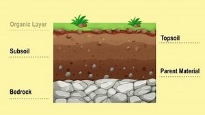 Detailed Animation of Soil Layers with Names