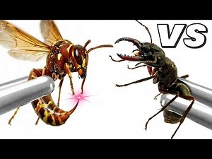 The SHOCKING Truth About AntTrek Ant Colony Simulation