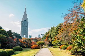 7 Days in Tokyo: First Timer Itinerary, Tokyo, Japan