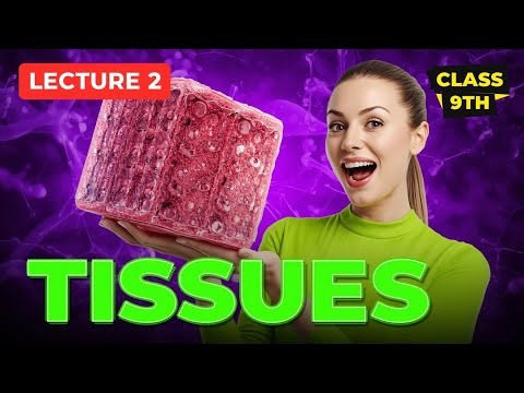 Tissues Class 9 | NCERT Line-by-Line | One Shot Biology 🔥(lecture 2)