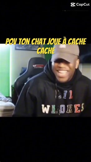 Pov ton chat joue à cache cache