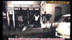 Perplexed Perceptions on Reels