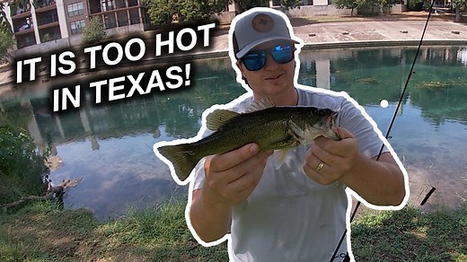 Catching Bass in the Summer Heat—Tips That Actually Work