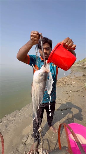 Giant Fish Hunting Traps By Hook #fishinglife #bait #hook #shorts