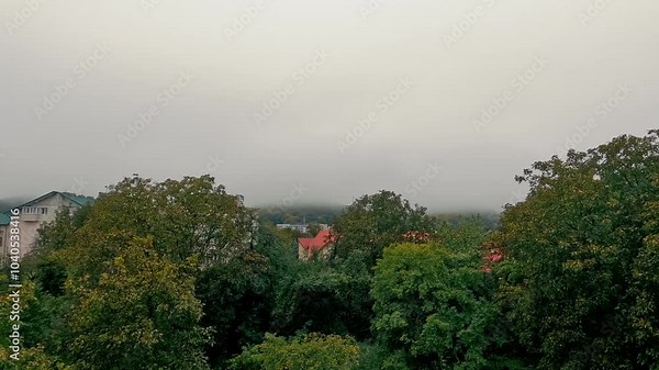 Time-lapse overcast sky above treetops and rooftops in a foggy landscape. A foggy morning scene with an overcast sky covering the horizon, where the tops of trees and buildings are just visible.