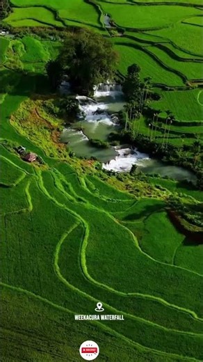 These are the places you must visit when you go to Sumba Island.#travel #shortsvideo