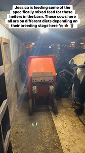 Jessica is getting these Heifers there specifically mixed diet for their breeding stage at the farm. Interesting that cows are all on different diets here and they’re monitored closely as they progress to new stages of growth #dairyfarming #holstein #johndeere #milk #dairy #northeastkingdom #farming | Don-Sim Farm