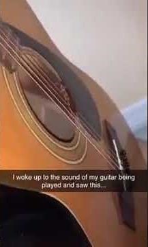 Cockroach plays la Cucaracha on Guitar