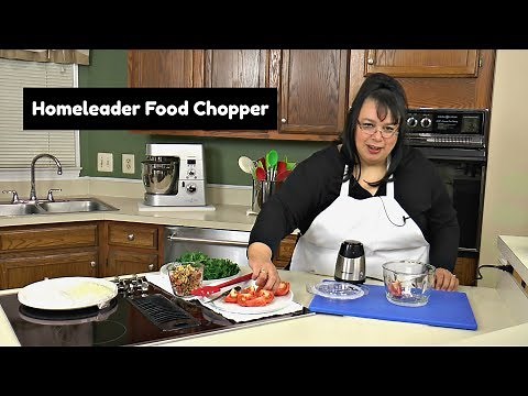Homeleader Mini Chopper Review ~ 5 Cup Mini Food Chopper ~ Amy Learns to Cook