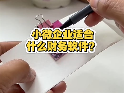 会计软件哪个好用？小微企业适合哪些财务管理系统？