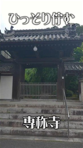 【人知れず佇む癒やしの古刹】専称寺（奈良・香芝市）｜小さな山寺