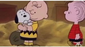 11M views · 715K reactions | In case you didn’t know, Charlie Brown rescued Snoopy in 1950  ☺️ 懶 | Weimaraner Rescue of Texas | Facebook
