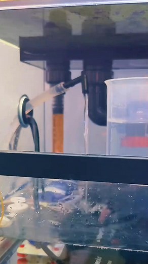 58K views · 170 reactions | Cách setup bộ bơm bù nước tự động cho bể cá. #cacanh77 #autorefill #hồcá | Cá Cảnh 77 | Facebook