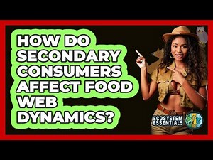 How Do Secondary Consumers Affect Food Web Dynamics?