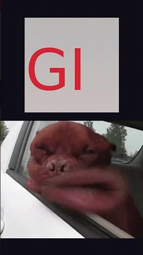 JPG vs PNG vs WEBP vs GIF vs SVG