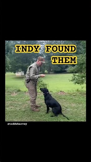 They Walked Right Past the Birds