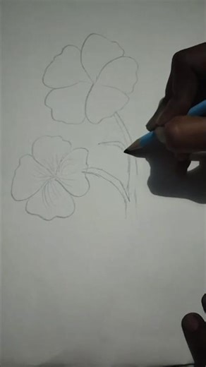 How to draw paje pushap #art #drawing