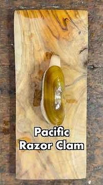 What’s a razor clam?