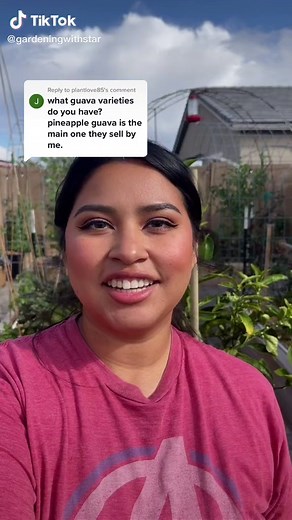 Exploring Different Types of Guava Trees in My Garden